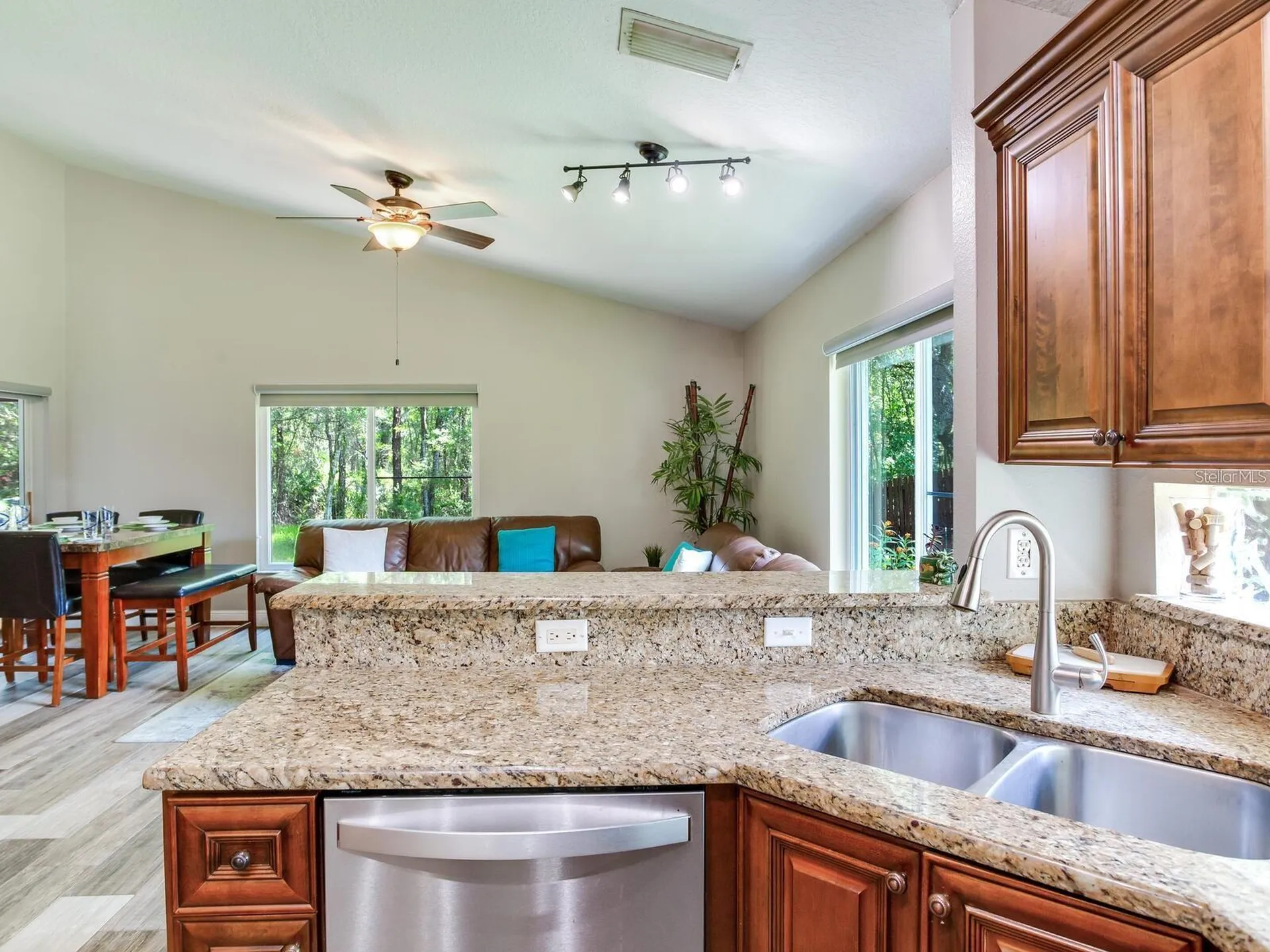 12502 Blazing Star Drive Tampa FL 33626
