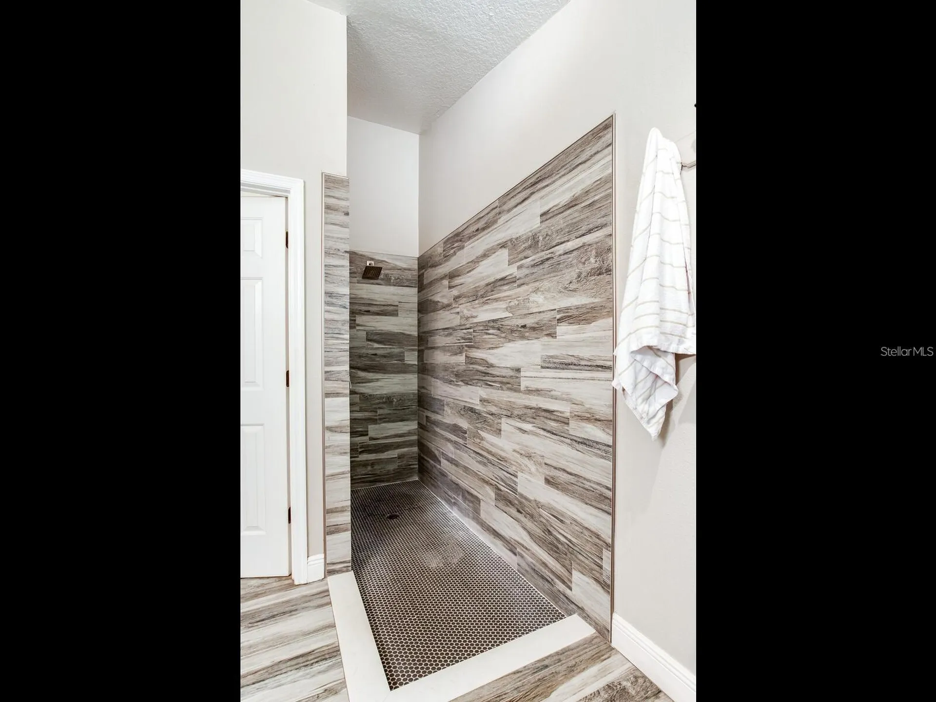 12502 Blazing Star Drive Tampa FL 33626