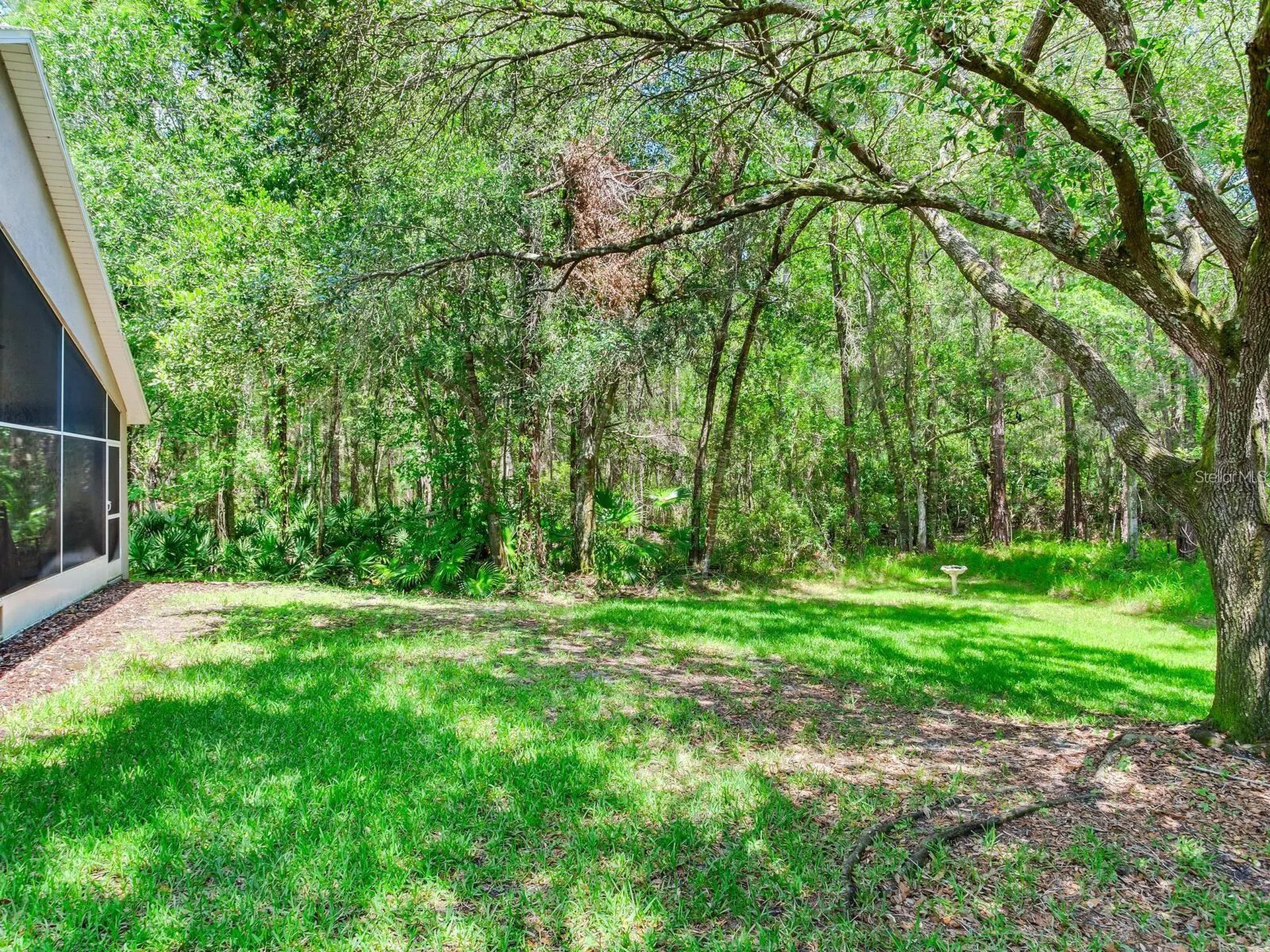 12502 Blazing Star Drive Tampa FL 33626