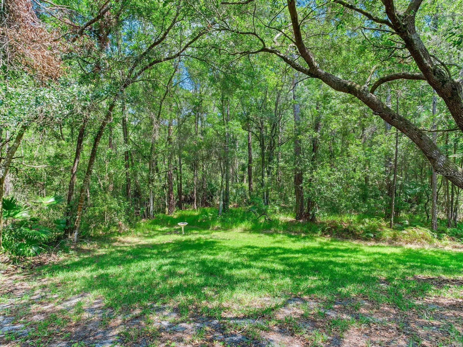 12502 Blazing Star Drive Tampa FL 33626