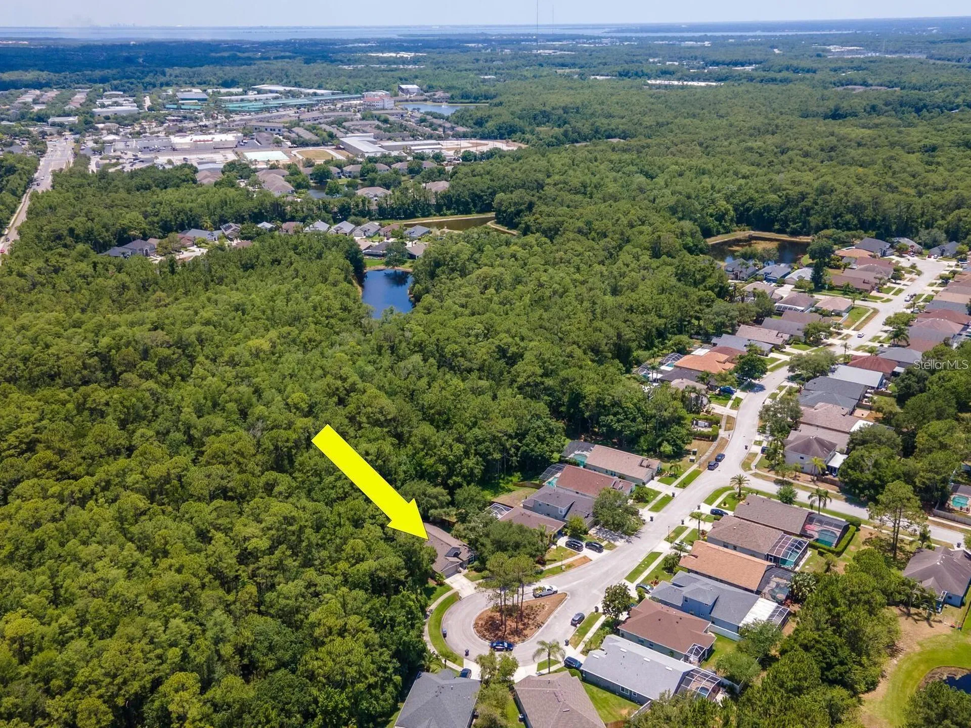 12502 Blazing Star Drive Tampa FL 33626