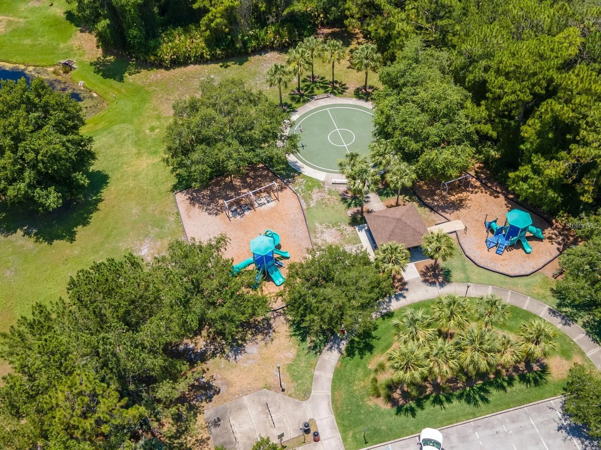 12502 Blazing Star Drive Tampa FL 33626