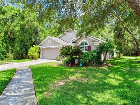 12502 Blazing Star Drive Tampa FL 33626