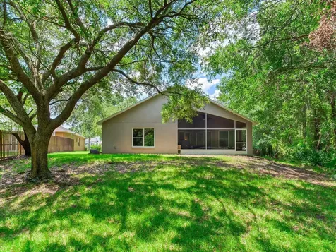 12502 Blazing Star Drive Tampa FL 33626