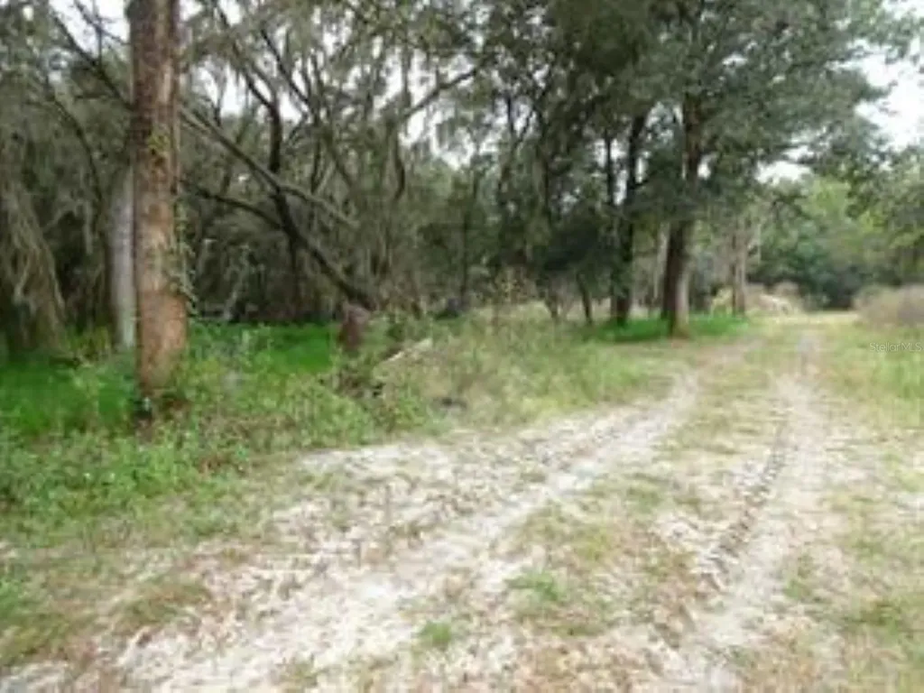 610 Burnsed Road Pierson FL 32180