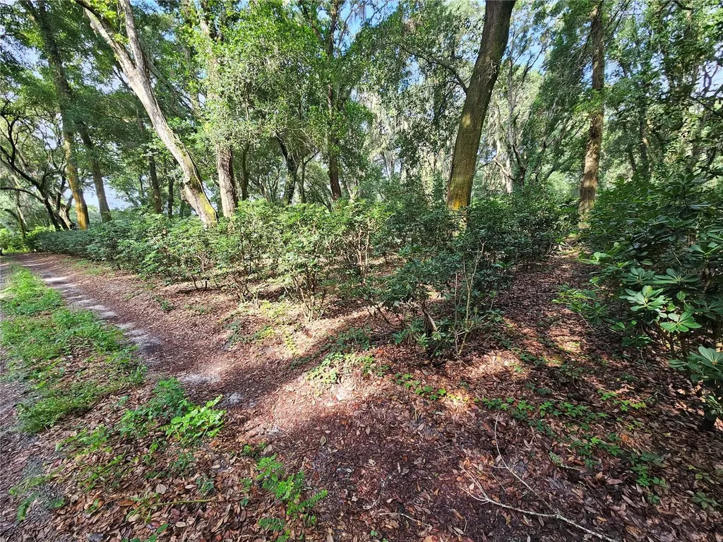 610 Burnsed Road Pierson FL 32180