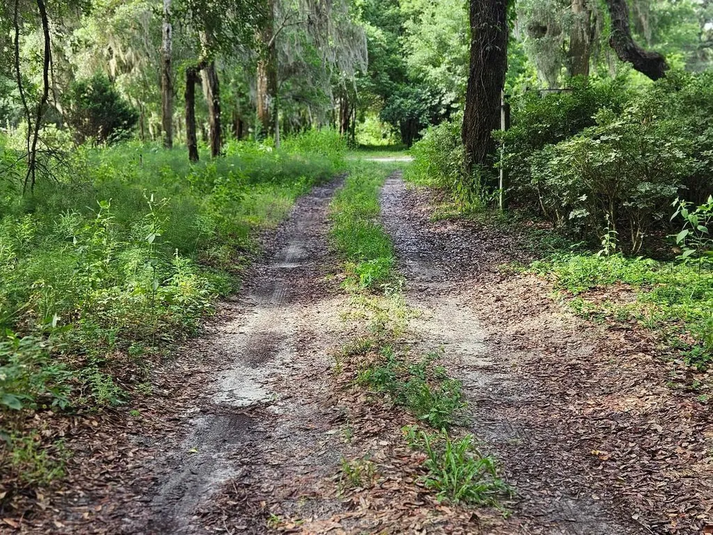 610 Burnsed Road Pierson FL 32180