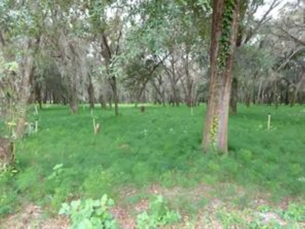 610 Burnsed Road Pierson FL 32180