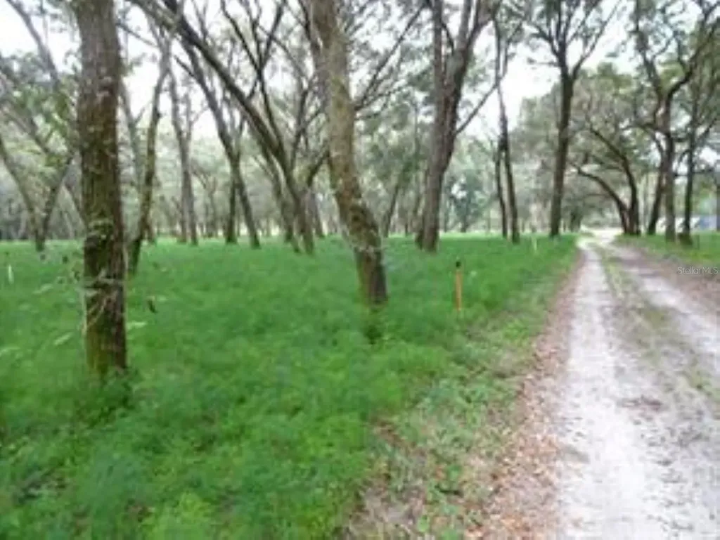 610 Burnsed Road Pierson FL 32180