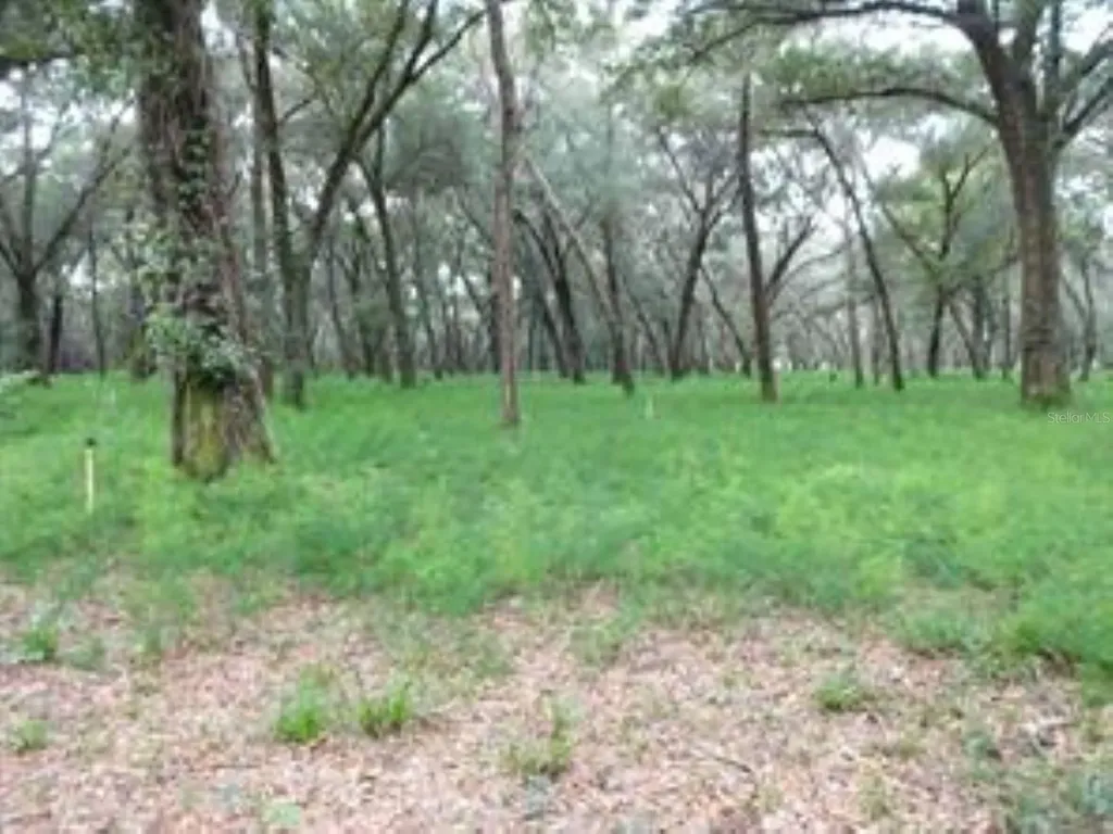 610 Burnsed Road Pierson FL 32180