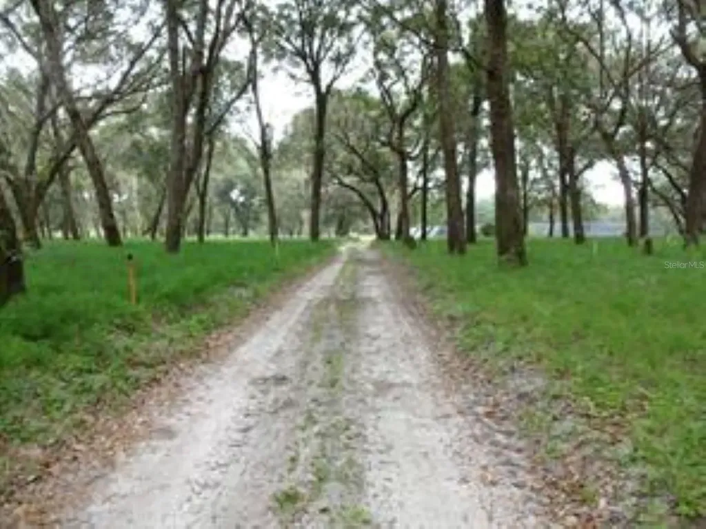 610 Burnsed Road Pierson FL 32180