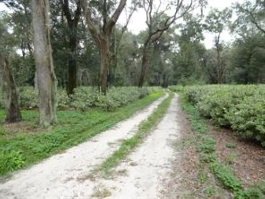 610 Burnsed Road Pierson FL 32180