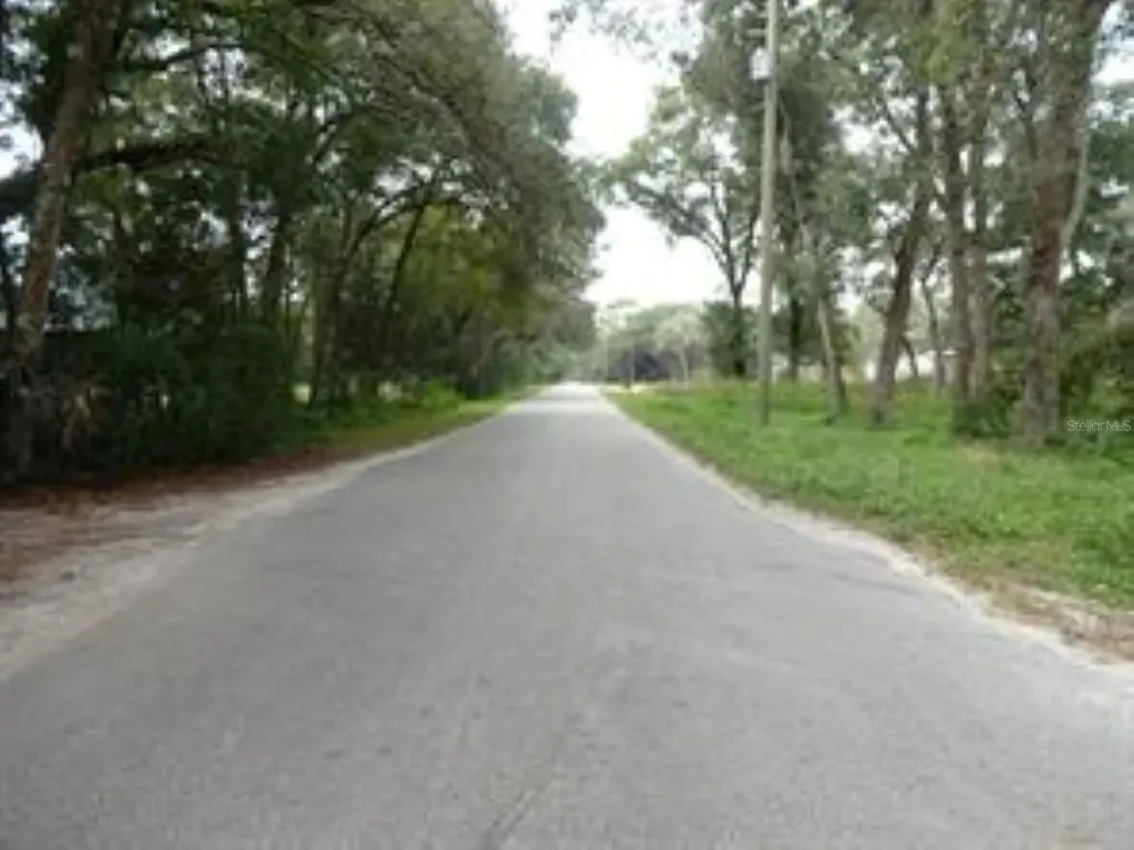 610 Burnsed Road Pierson FL 32180