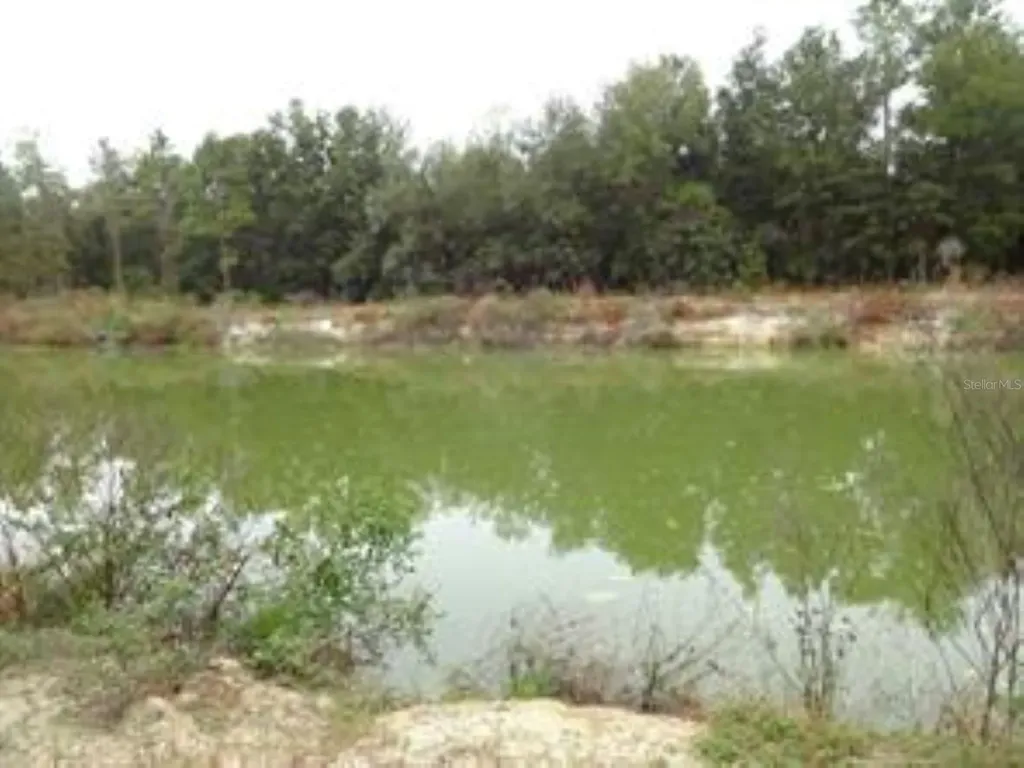 610 Burnsed Road Pierson FL 32180