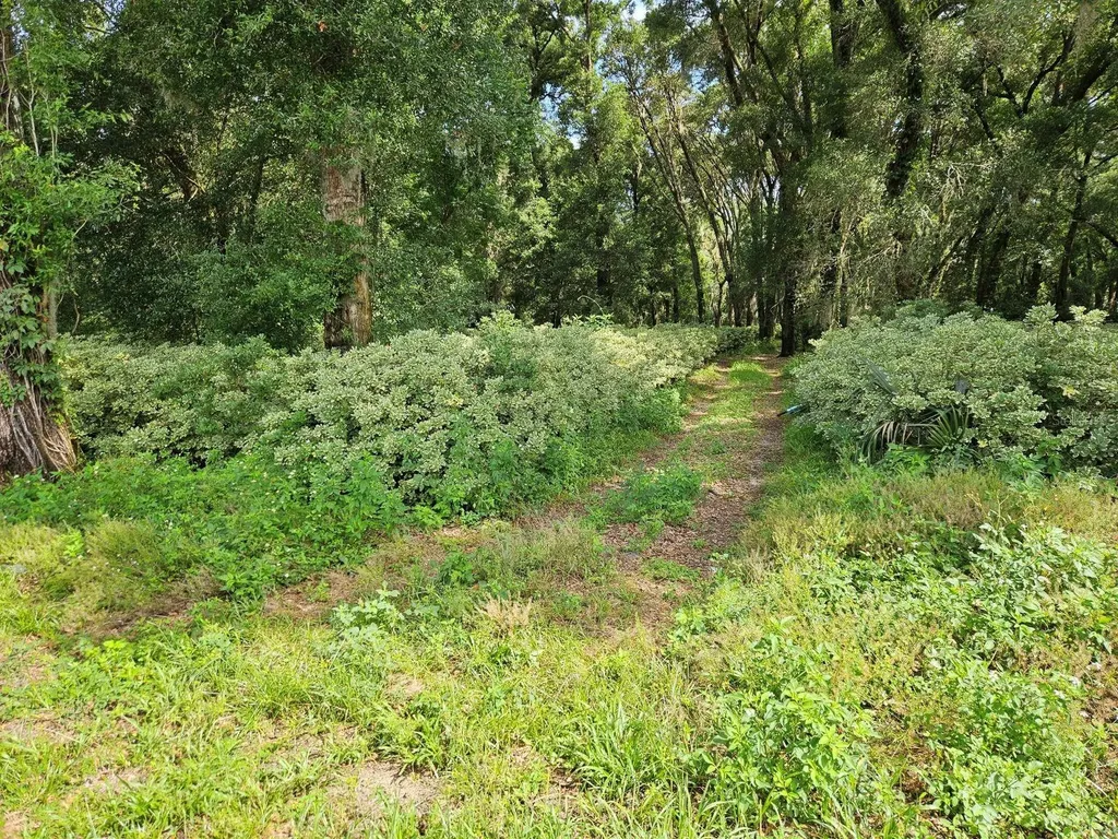 610 Burnsed Road Pierson FL 32180