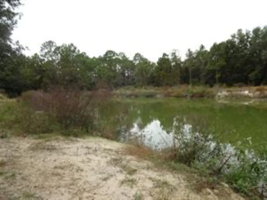 610 Burnsed Road Pierson FL 32180