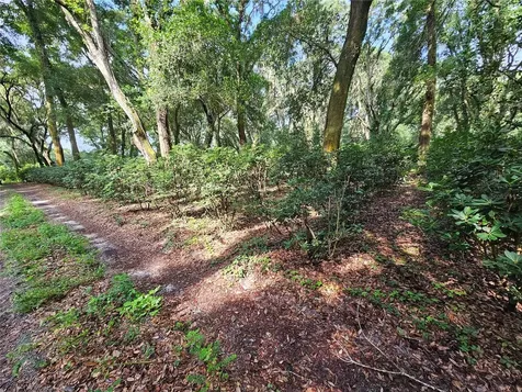 610 Burnsed Road Pierson FL 32180