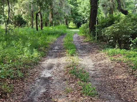 610 Burnsed Road Pierson FL 32180