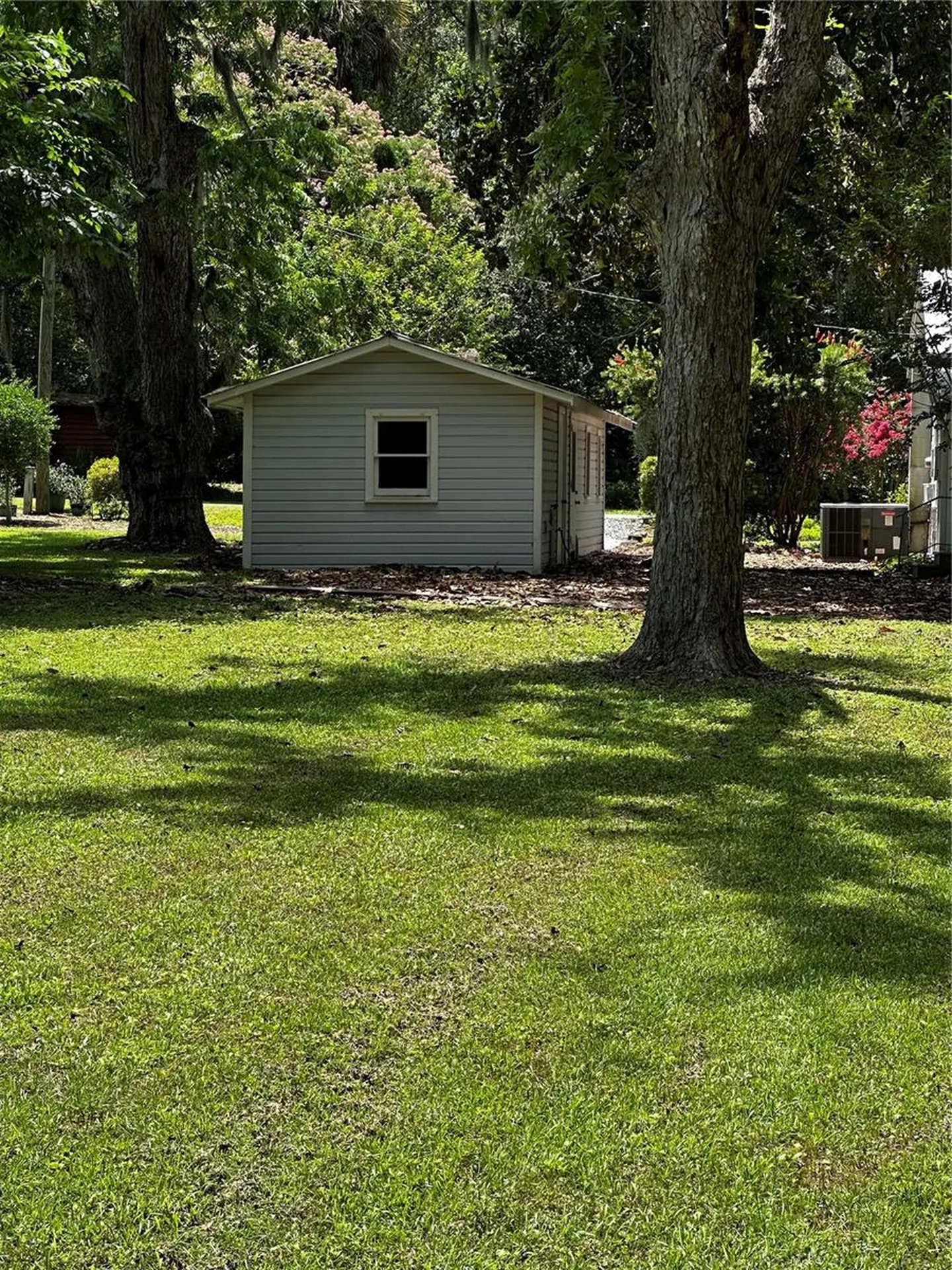 142 NW 2nd Avenue Williston FL 32696