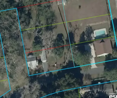 142 NW 2nd Avenue Williston FL 32696
