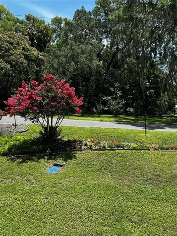 142 NW 2nd Avenue Williston FL 32696