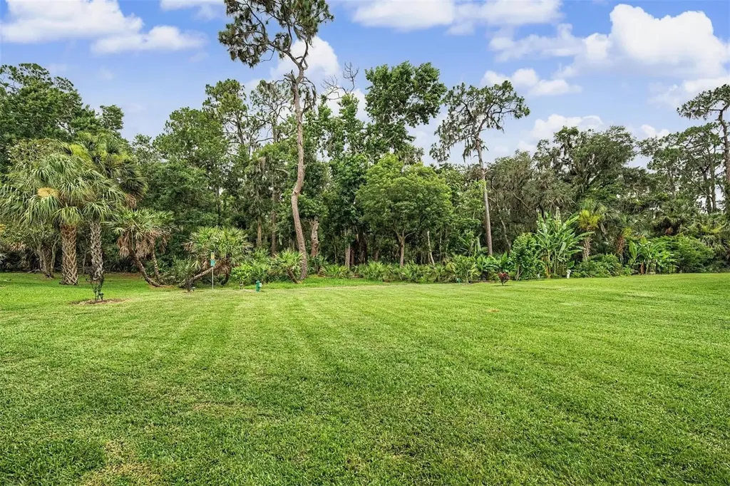 5116 Abisher Wood Lane Brandon FL 33511