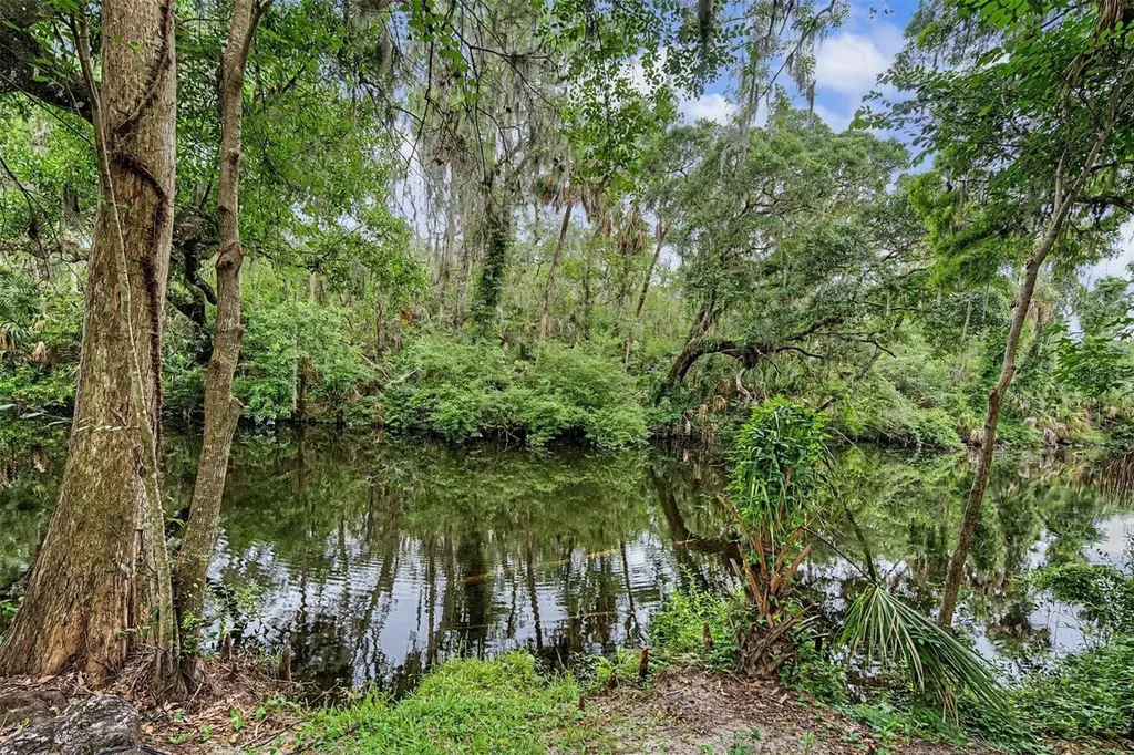 5116 Abisher Wood Lane Brandon FL 33511