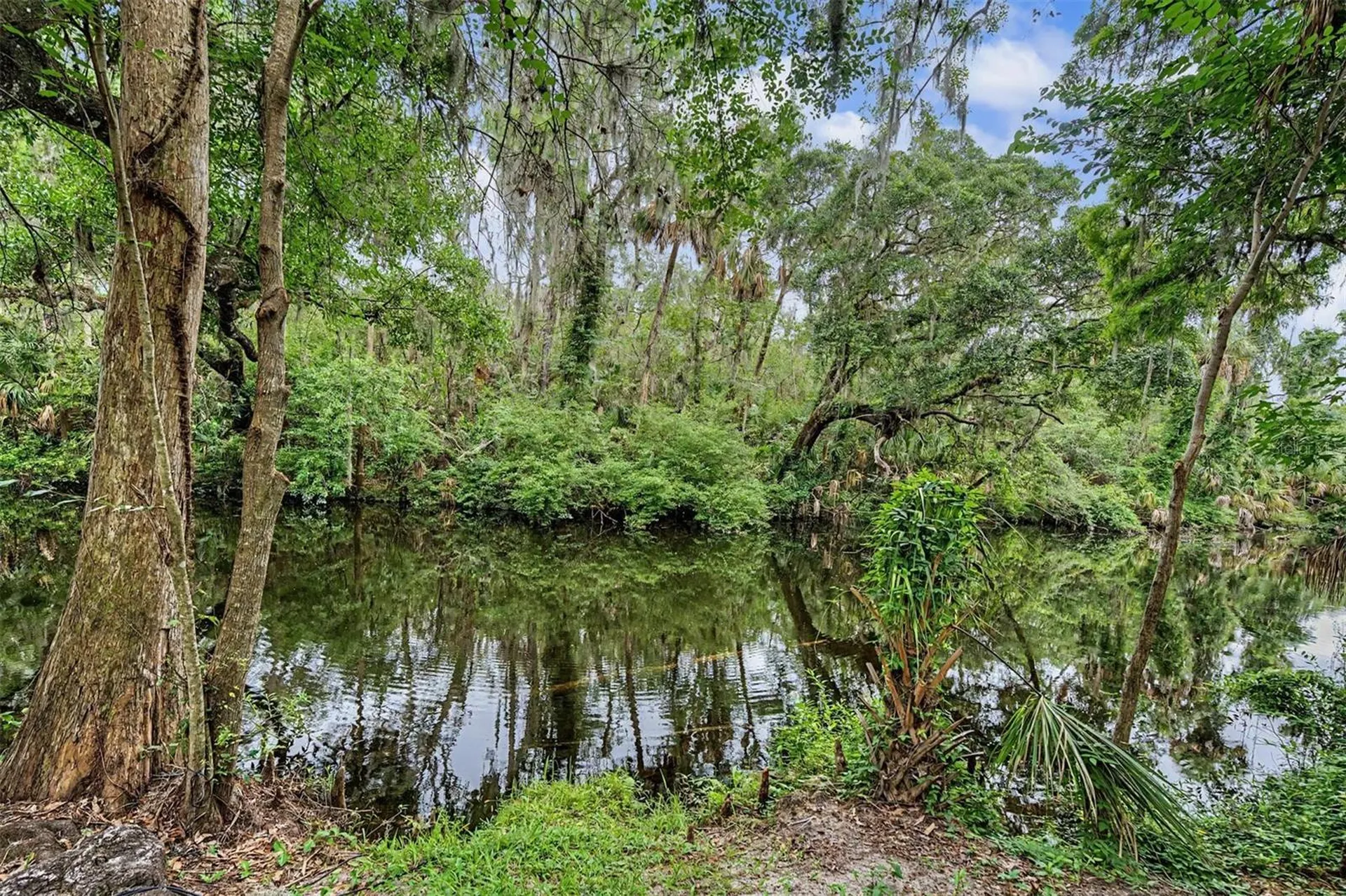 5116 Abisher Wood Lane Brandon FL 33511