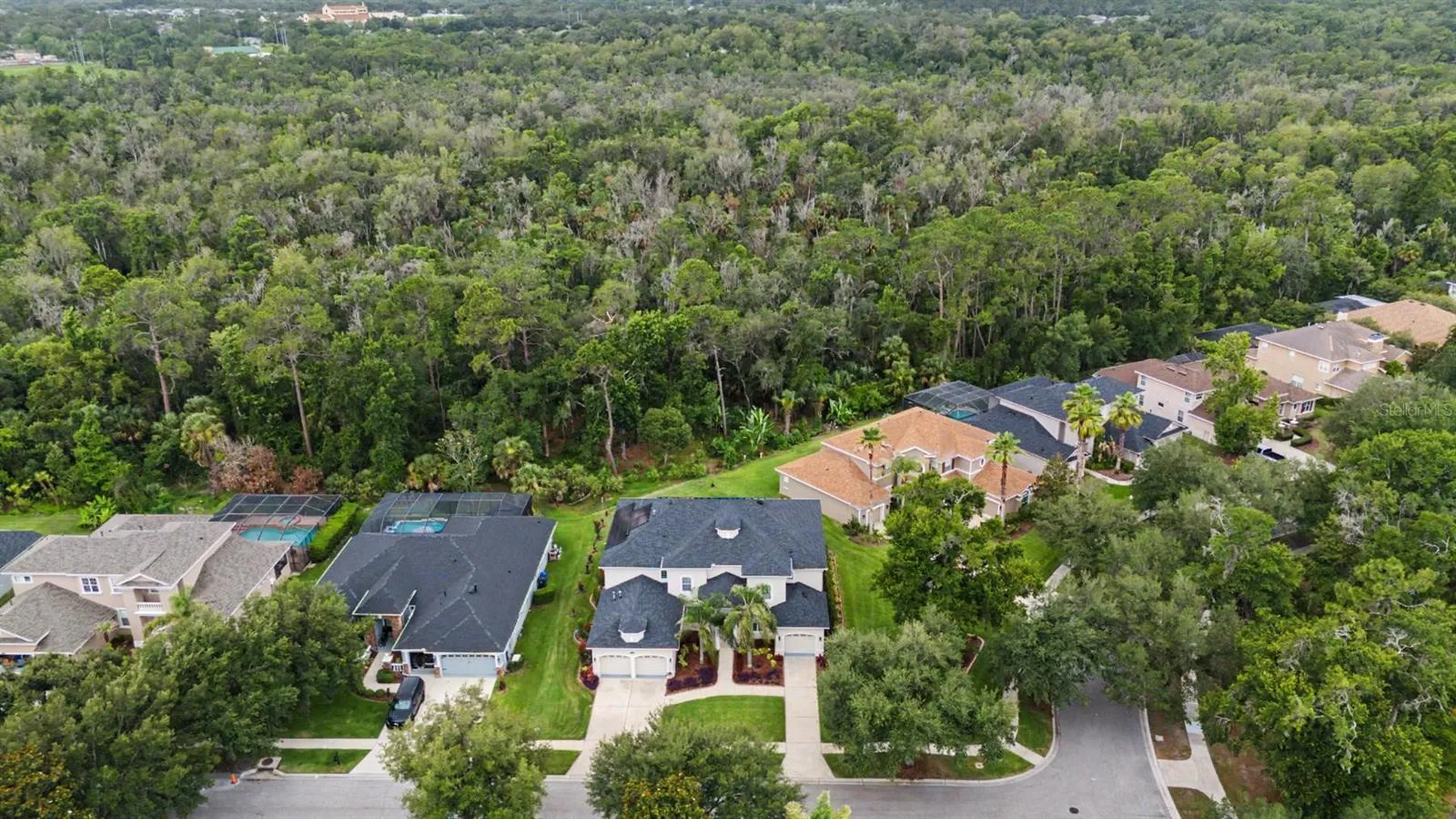 5116 Abisher Wood Lane Brandon FL 33511