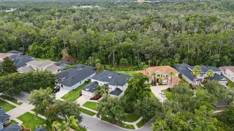 5116 Abisher Wood Lane Brandon FL 33511