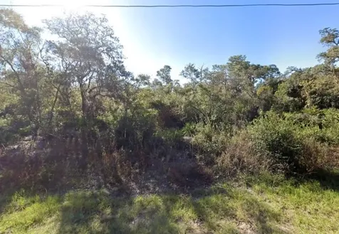 441 Vernon Court Kissimmee FL 34759