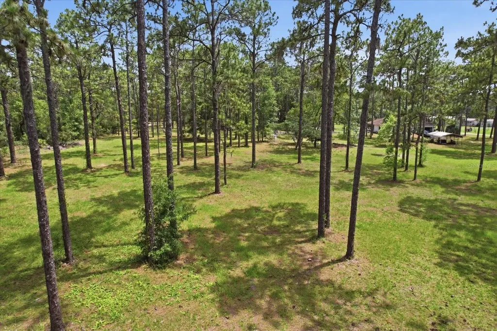 6950 W Hilger Court Homosassa FL 34448