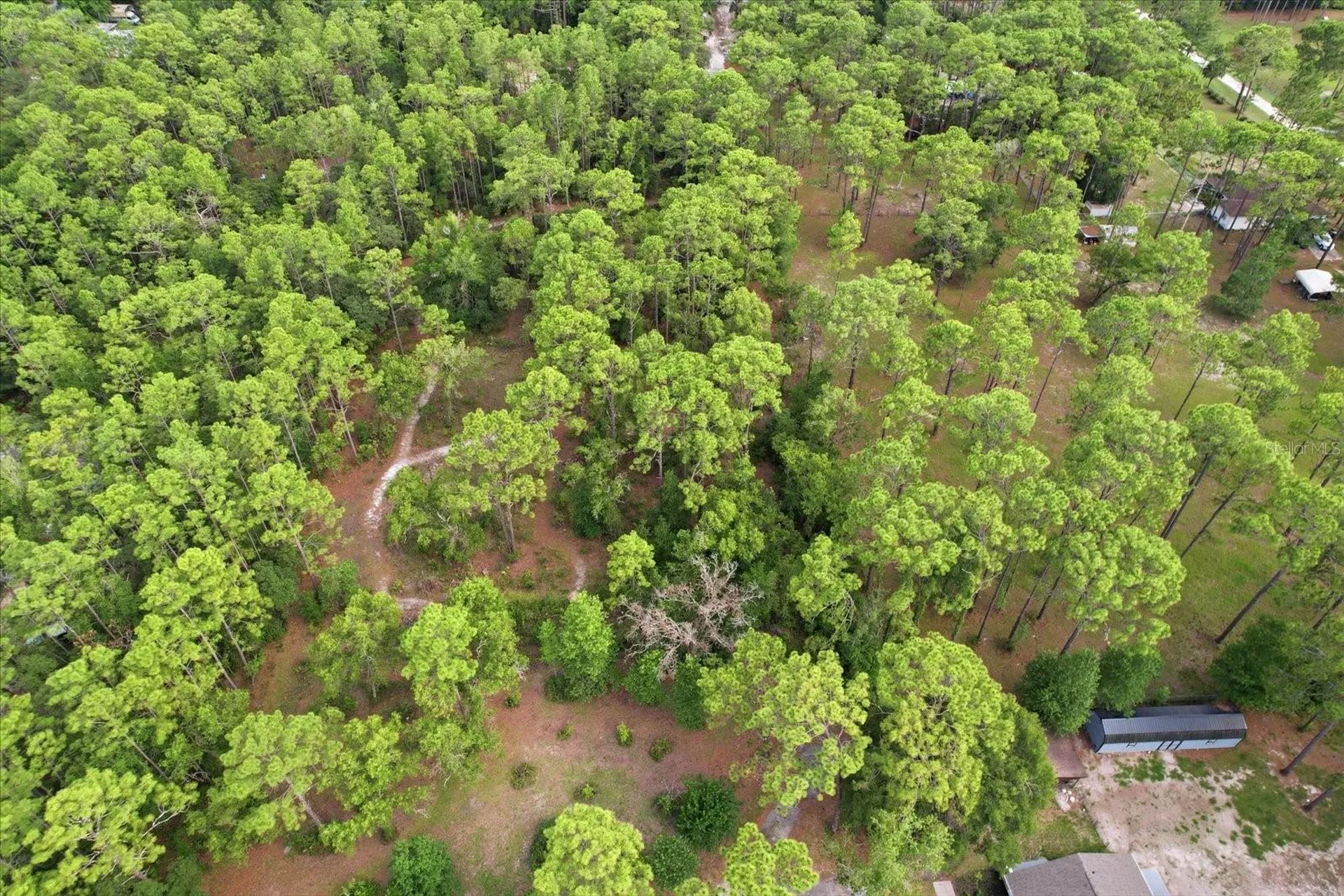 6950 W Hilger Court Homosassa FL 34448