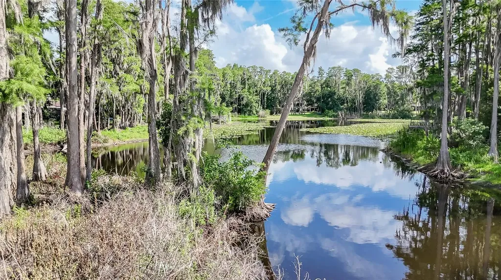 2610 Cabot Road Land O Lakes FL 34639