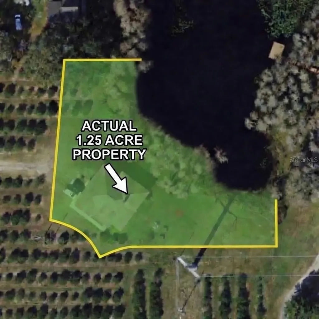 2610 Cabot Road Land O Lakes FL 34639