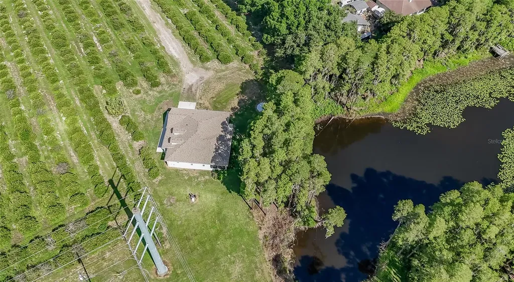 2610 Cabot Road Land O Lakes FL 34639