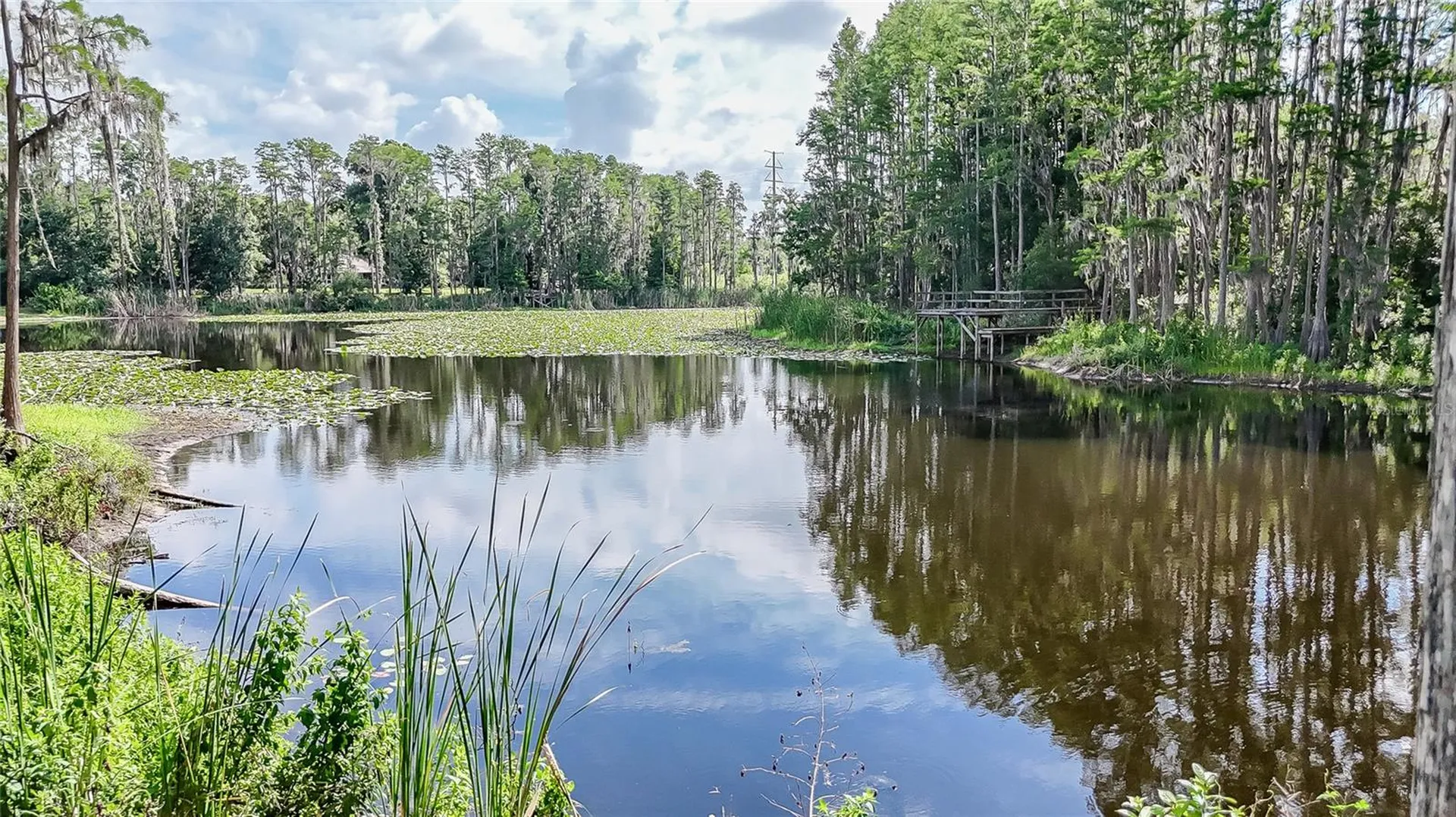 2610 Cabot Road Land O Lakes FL 34639