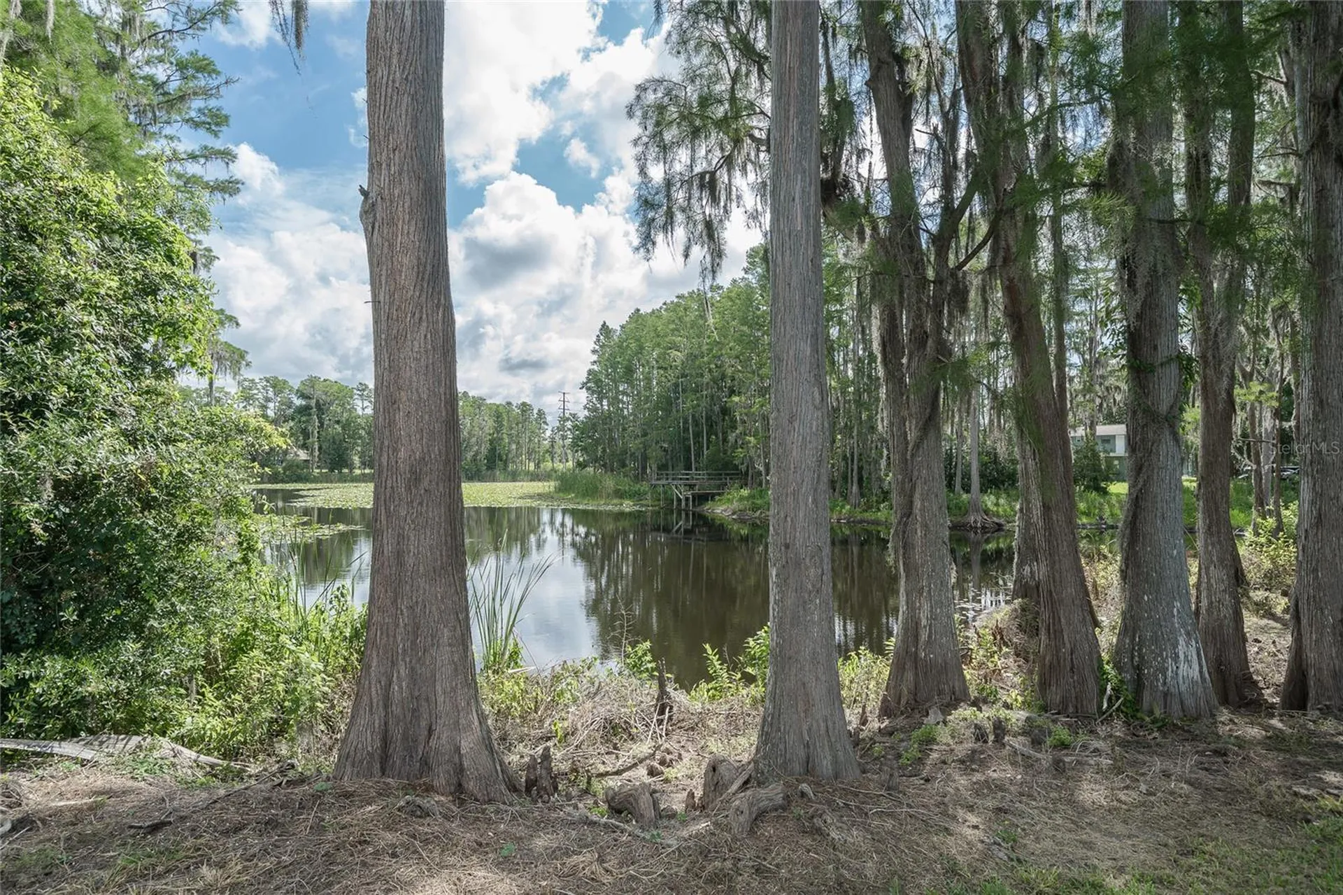 2610 Cabot Road Land O Lakes FL 34639