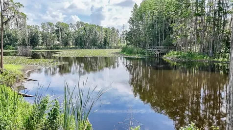 2610 Cabot Road Land O Lakes FL 34639