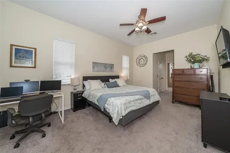 2610 Cabot Road Land O Lakes FL 34639
