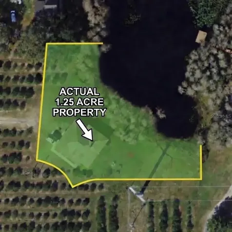 2610 Cabot Road Land O Lakes FL 34639