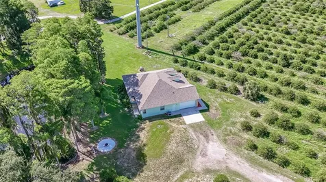 2610 Cabot Road Land O Lakes FL 34639