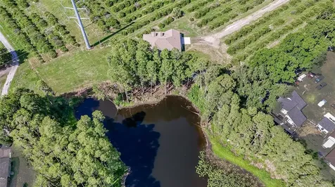 2610 Cabot Road Land O Lakes FL 34639