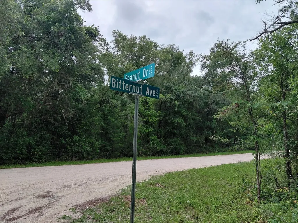 Peanut Drive Webster FL 33597