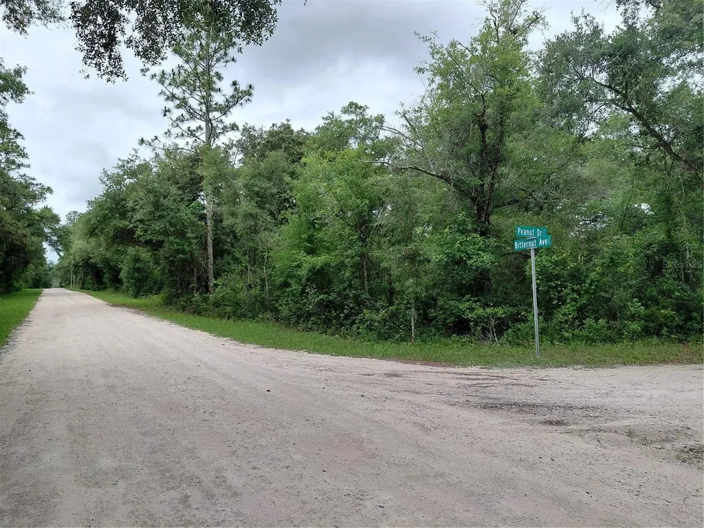 Peanut Drive Webster FL 33597