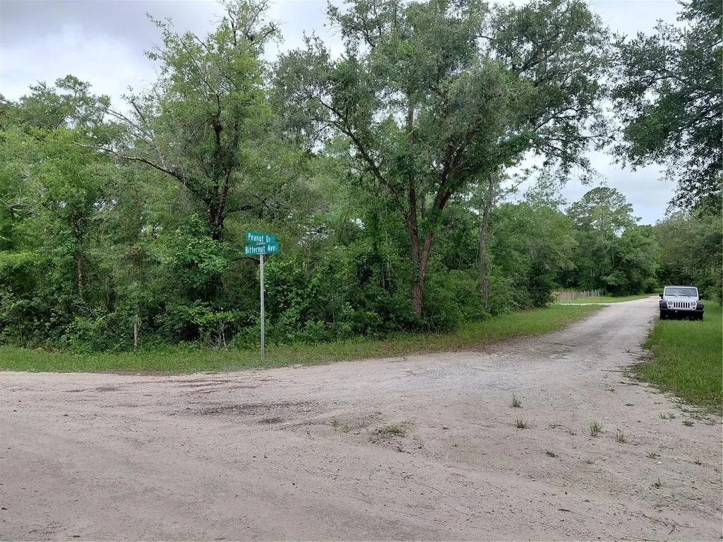 Peanut Drive Webster FL 33597