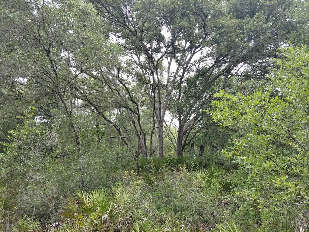Peanut Drive Webster FL 33597