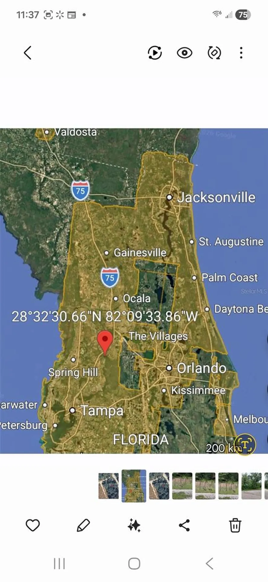 Peanut Drive Webster FL 33597