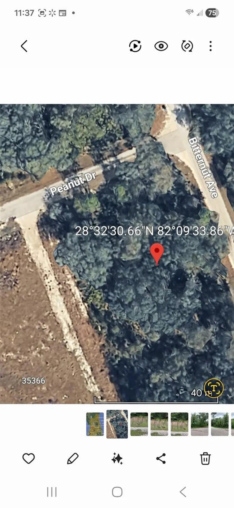 Peanut Drive Webster FL 33597