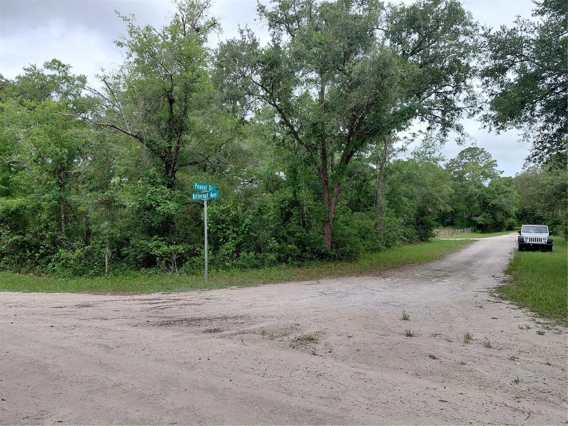 Peanut Drive Webster FL 33597